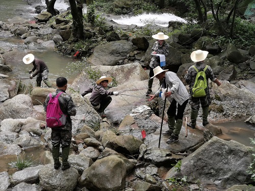 正在圈样方2019.7.5.jpg